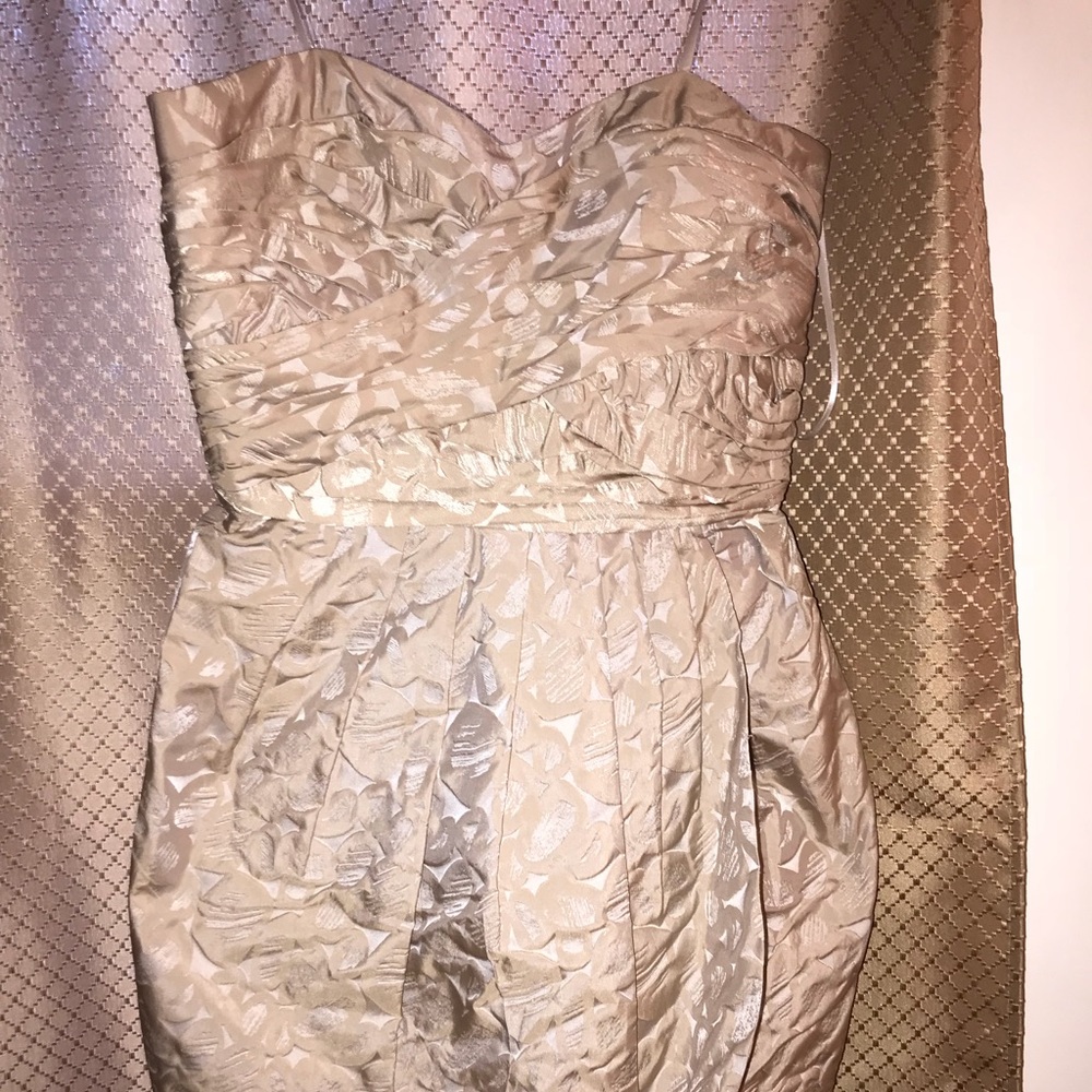 Maxandcleo dress
